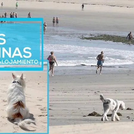 Casita Nekagarden * Vigo