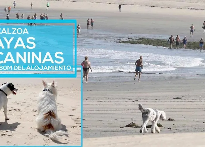 Casita Nekagarden * Vigo